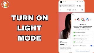 How To Turn On Light Mode On DuckDuckGo Private Browser App screenshot 3