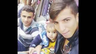 davud & cumelı