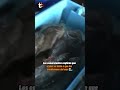 🐟 ¡Pescado por las nubes! Bonito y merluza suben hasta 50% por fuertes oleajes | Trome
