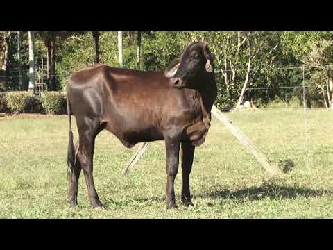 LOTE 27   FAZENDA CACHOEIRA   396