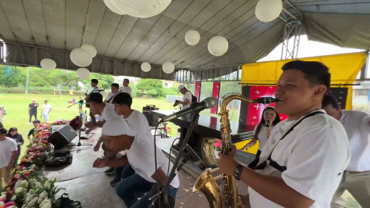 Alabanza del pato (JAJ24)