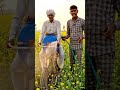 UntitledDesi sprayer machine jugad 🤩🤩🤩 l #shorts #trending #farmer #villagelife #farming #ytshorts