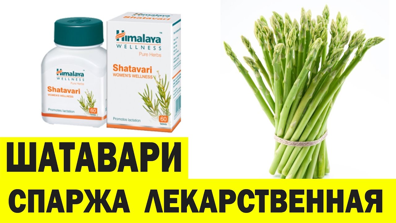 Шатавари. Shatavari himalaya. Спаржа лекарственная. Аюрведа Здесь