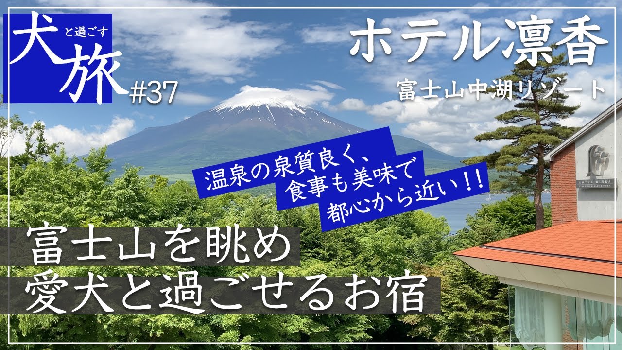ホテル凛香 山中湖にある愛犬と泊まれるお宿で 温泉を愉しみ 富士山を眺めて過ごす Youtube