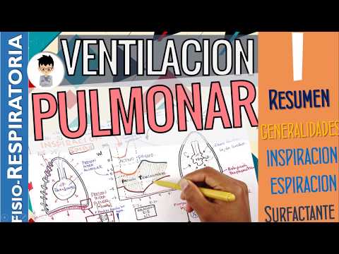 Vídeo: Revisión Clínica: Mecánica Respiratoria En Ventilación Espontánea Y Asistida