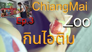 Chiangmai Zoo สวนสัตว์เชียงใหม่ | Ep.3 นั่งเล่นกินไอติม #ChiangmaiZoo #小朋友 #家庭
