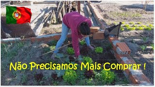 Já Temos Verduras Pra Colher ! Trabalhando Nas Hortas e Estacionamento Da Futura Pousada !