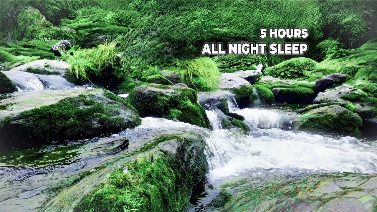 Relaxing Water Sounds for Deep Sleep (5 Hours) 🌿 Natural Stream White Noise #deepsleep #watersounds
