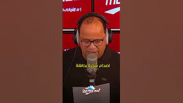 حافلة تصدم شجرة والشجرة هي المخطئة 