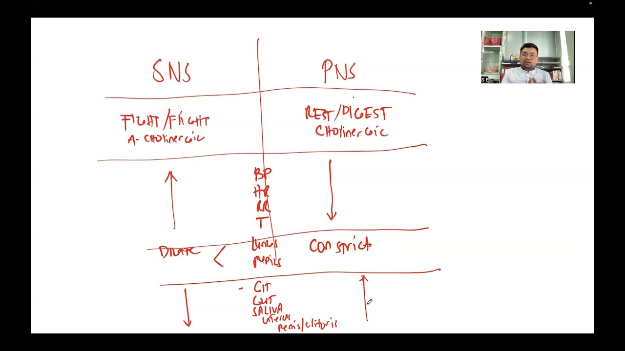 The Nervous System - PART 1