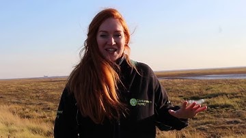 The Humber estuary Outstrays to Skeffling managed realignment scheme