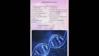 Transcription Vs Translation Biology