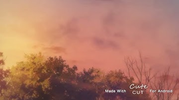 ||تلاوة من سورة الزمر||《القارئ محمد الوهيبي》