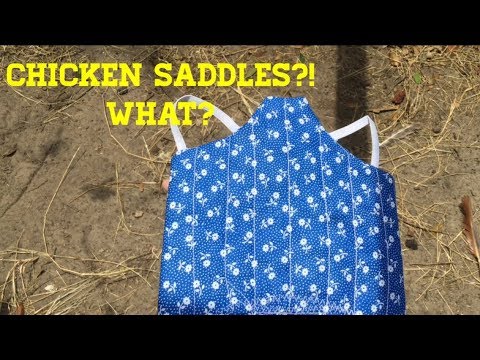 Chicken Saddles! - YouTube