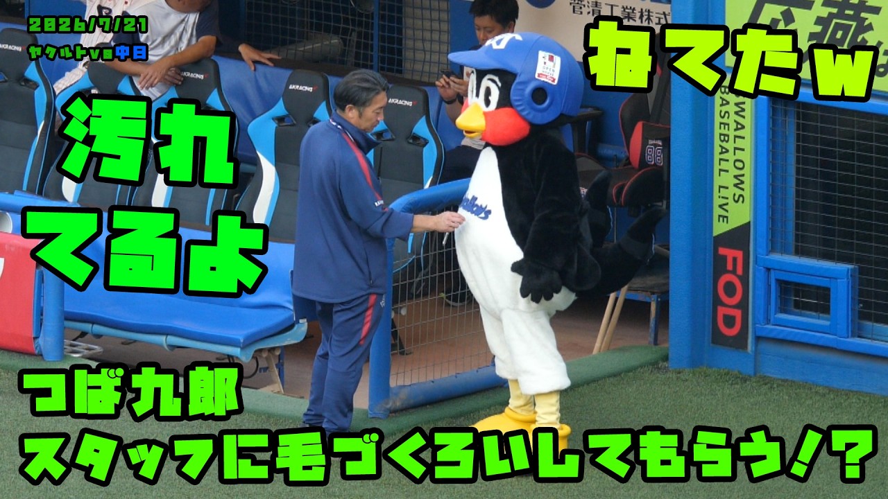 【値下げ】10点セットSwallows CREW 2026&2025 #つば九郎 つば九郎 スタッフに毛づくろいしてもらう！？ 2026/7/21 vs中日 - YouTube