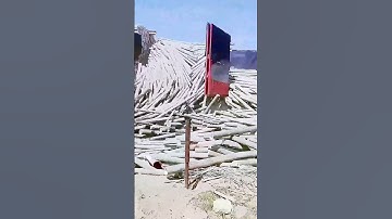 The process of bamboo unloading, good tools can improve efficiency