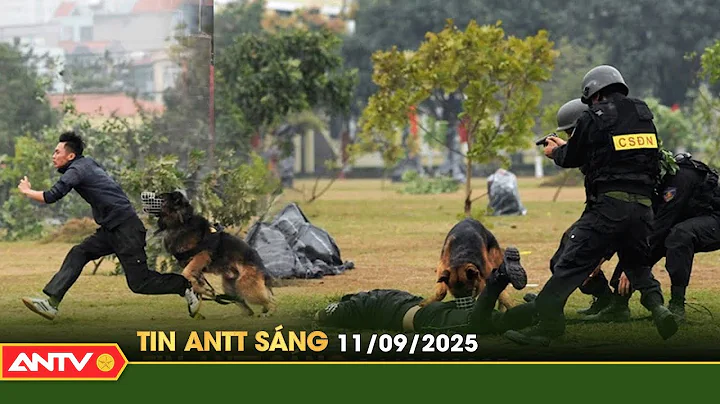Tin tức an ninh trật tự nóng, thời sự Việt Nam mới nhất 24h sáng 11/9 | ANTV