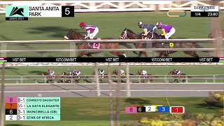 Vidéo de la course PMU CLAIMING