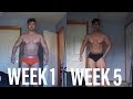 WEEK ONE TO WEEK FIVE PHYSIQUE COMPARISON | AESTHETICS 101 Ep. 7