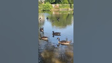 Thumbnail of #song #love #music #travel #lifeisbutadream