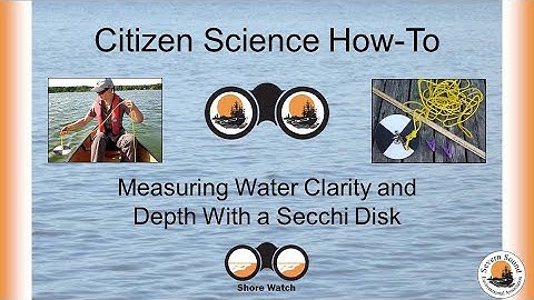 How to record Secchi depth – Shore Watch