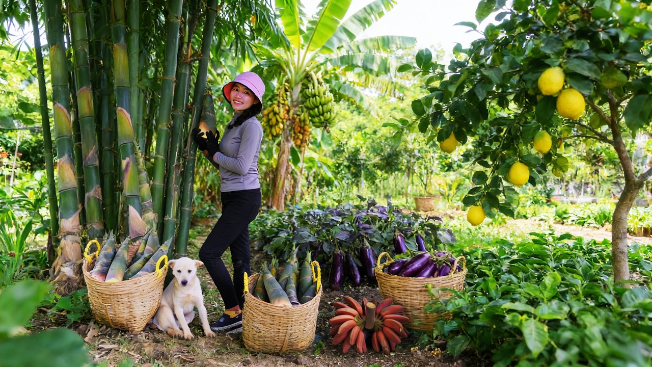 Harvest, Sell, Cook With Bamboo Shoots, Red Banana, Eggplant, Lemon, Tea – Farmer Girl