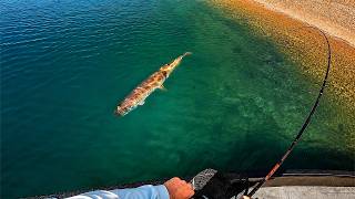 Sight Fishing GIANT Pike in Crystal Clear Water