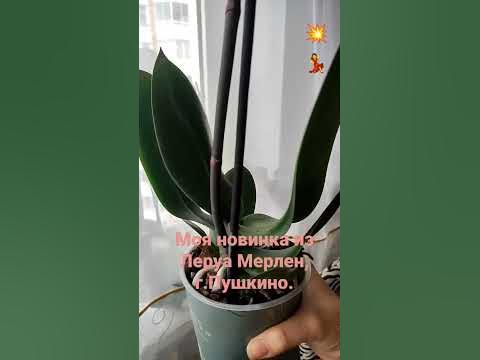 Моя новинка из Леруа Мерлен, г. Пушкино. - YouTube