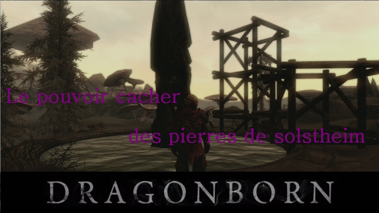 Skyrim Le Pouvoir De La Pierre Du Soleil Vent De Leau De La Bête Ours Garou Guérison Etc - 