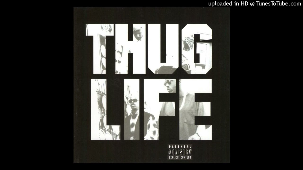 Download Thug Life - Cradle To The Grave Instrumental MP3