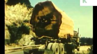 1950s USA Logging