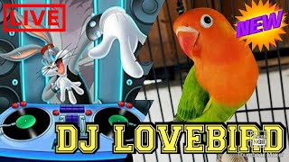 DJ LoveBird || Full Remix Bass