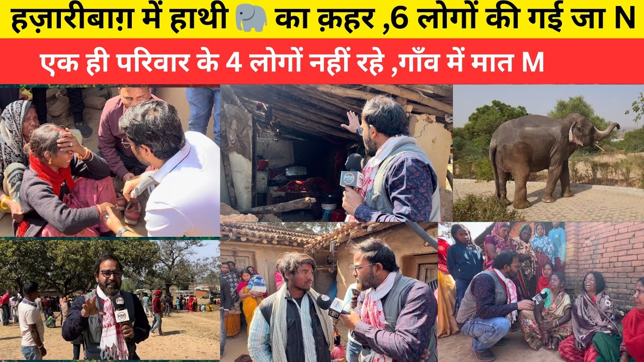 Слон причинил огромный ущерб в Хазарибаге, 6 человек погибли, 4 из одной семьи, деревня в шоке.