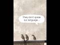 A Lesson Humans Need to See #TinyWild #NatureLesson #WildlifeStory #SimpleLife #naturetruth