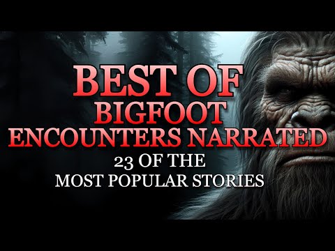 BEST OF BIGFOOT ENCOUNTERS NARRATED - 23 OF THE MOST POPULAR STORIES