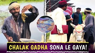 Gadhy Ky Mathy Py Sony Ka Har 😱