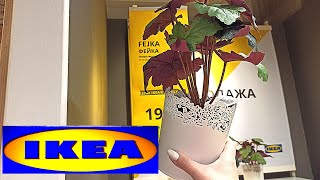 💥БЕГУ В ИКЕА🧨НОВИНКИ В РАСПРОДАЖЕ🥳ОСТАТКИ СЛАДКИ. IKEA Обзор Полочек