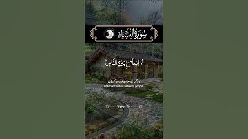 تلاوةعطرةمن كتاب الله العزيز #المصحف #اكسبلور #duet #راحة_نفسية #حالات_واتس #يصلك #لايك #الرحمن