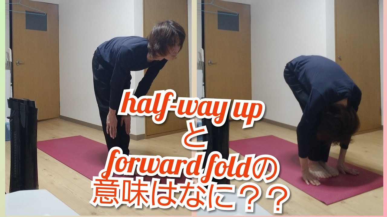 Half Way Upとforward Foldの意味とは ティルナ ヨガインストラクター