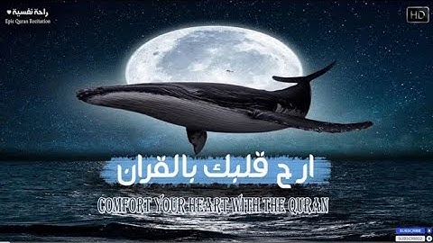 تلاوة تأخذك إلى عالم آخر من السكينة والراحة النفسية 😴 انعزل عن ضجيج العالم قليلا | القارئ عمر محجوب