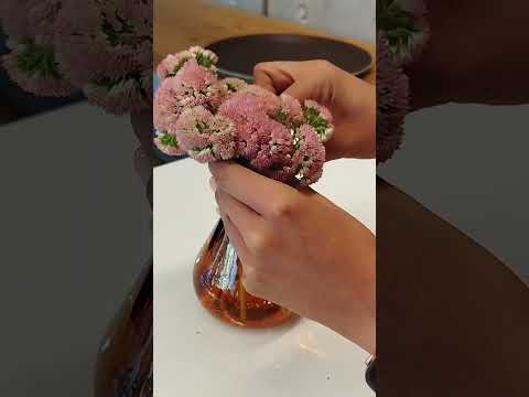 کافه فلو گاردن در مهرشهر کرج