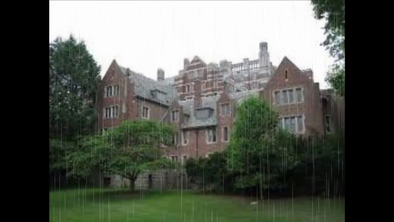 Walden University YouTube