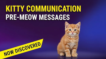 The Secret Language of Kittens – How They Communicate Before They Can Meow