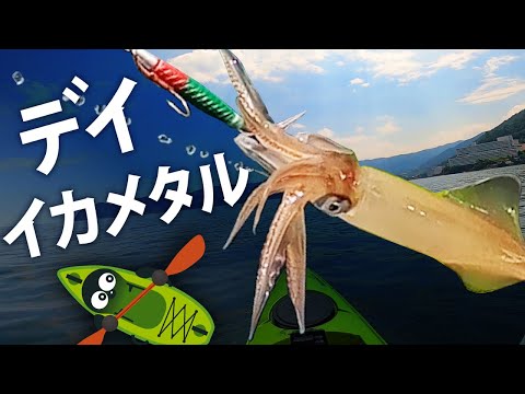 イカメタル　エギング　ケンサキイカ デイ・イカメタル】夏のボート・ケンサキイカ釣り 8月のカヤック