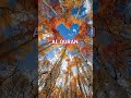 AL QURAN URDU TRANSLATION #qurantranslation #islamic #shortsfeed