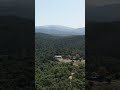 Bosque hermoso, junio 2026 — grabado con Lito X1 — bosque en Cataluña, España 🌿