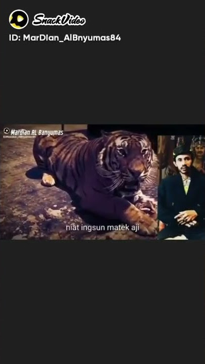 untuk penjilat