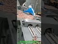 Double‑line automatic linking/tying machine #vipstarmachinery #foodmachinery #machinerychannel