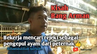 bg arman mencari rejeki sebagai pengepul ayam | ternak ayam joper