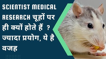 Why do scientists always do experiments on rats? | वैज्ञानिक हमेशा चूहे पर प्रयोग क्यों करते हैं?